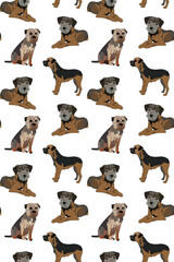 Seamless playful pattern with border terrier dogs. Birthday present for dog fans. Present wrapping. Repeatable art with terriers. Funny dog mascot. White background,detailed handdrawn dog illustration