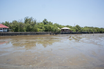 Fototapeta na wymiar rubber wheel wall protect wave in mangrove forest at Thailand
