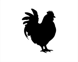 Black hen silhouette vector illustration on white background