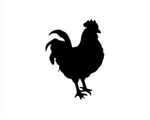 Chicken or rooster silhouette vector illustration on white background © Techzaka