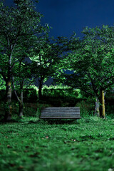 深夜の公園のベンチ