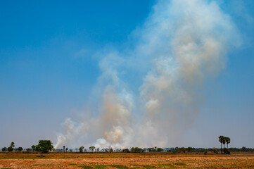 Smoke billowing from a grassland fire on a farm.raging smoke pattern background of fire burn in grass fields, forests and black and white smoke to sky. Big wildfire close-up. pollution in air concept.