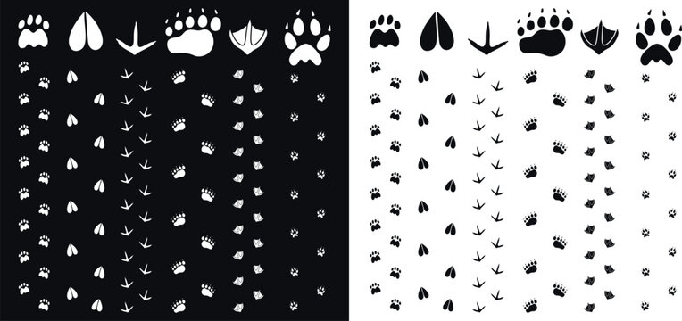 Paw print silhouette. Isolated paw print on white background