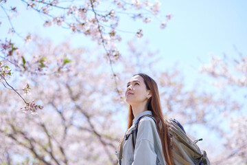 春の桜を楽しむ女性インバウンドバックパッカー