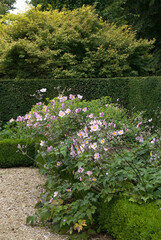 Les Jardins de Castillon Plantbessin, Castillon, 14, Calvados, France