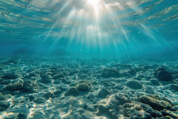 Obraz premium Underwater Sea underwater outdoors nature.