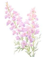 Delicate Angelonia Flowers in Vibrant Watercolor Painting Style - obrazy, fototapety, plakaty