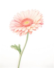 Delicate Gerbera Bloom in Soft Watercolor Painting with Organic Textures and Gradients - obrazy, fototapety, plakaty