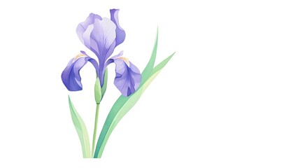 Delicate Watercolor Iris Bloom with Vibrant Petals and Leaves - obrazy, fototapety, plakaty