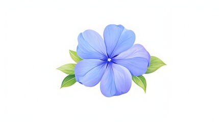 Periwinkle Flower in Full Bloom with Delicate Petals Exuding Elegance and Grace