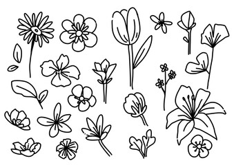 set of black and white flowers