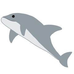 a gray-patterned dolphin