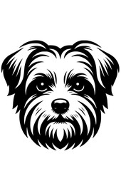 Maltese SVG, Maltese PNG, Dog SVG, Dog breed, Dog lover, Maltese Silhouette, Maltese Clipart, Maltese Cut file for Cricut, Maltese Art, Maltese Face