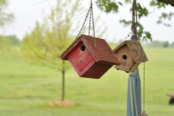 Birdhouses in a Tree