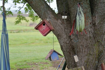 Birdhouses in a Tree