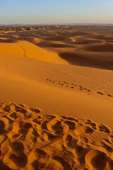 sand dunes in the Sahara desert 