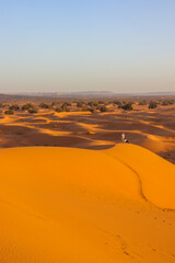 Fototapeta na wymiar sand dunes in the Sahara desert 