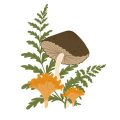 Mushroom isolated element. Autumn composition with greaser, chanterelle, fern leaves. Fall mushrooms vector illustration for sticker, logo, print. White background. © Ekaterina Sumanosova