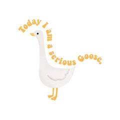 today I am a serious goose 