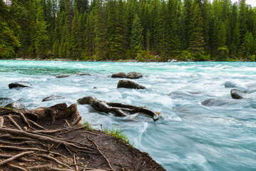 Kanas Scenic Area in Altay Region, Xinjiang, China