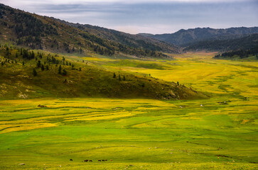 Scenery of Altay region in Xinjiang, China