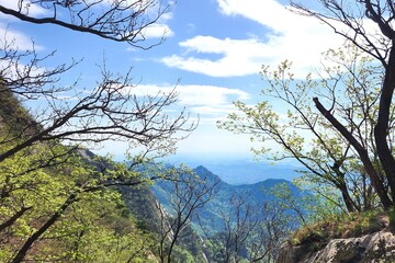 View of the mountain valley, summer greenery, sunny day