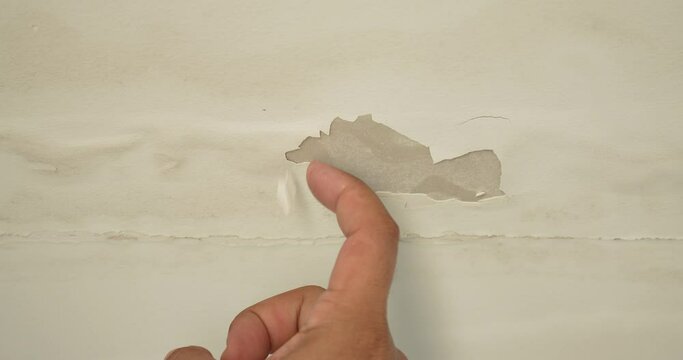 Male finger is peeling paint on ceiling, Office building or house problem for house service. High definition shot at 4K, 50 fps video footage.