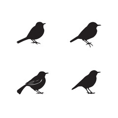 Fototapeta premium Set of black bird silhouettes. Vector elements for design.