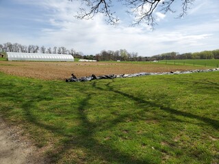 Farmland ready for planting
