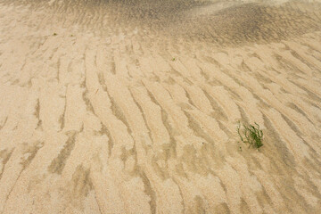 Beach sand texture