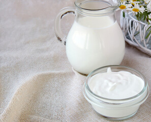dairy product sour cream yogurt on the table