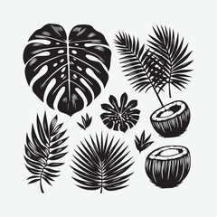A Monstera leaf, banana leaf, coconut tree leaves. Palm leaf vector black silhouettes, summer branch plant jungle coconut tree, nature set icon isolated on white background. 