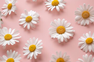 Soft-focus of daisies in a unclear meadow.. Beautiful simple AI generated image in 4K, unique.
