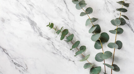 Eucalyptus leaves and branches lying on a stone marble table. background with floral twigs and empty space for text. Generative AI. - 797933312