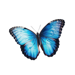 Naklejka premium A blue butterfly spreads its wings, isolate on transparent png.