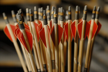 A quiver of blunted arrows, safe for recreational shooting and practice.