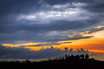 Fototapeta premium Tuscan landscape, Italy