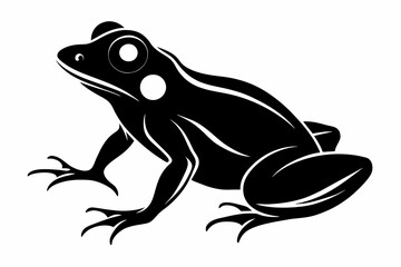 Hand Drawn Frog Silhouette Isolated On White Background. Vector Illustration In Flat Style