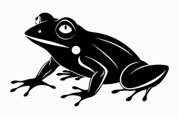Hand Drawn Frog Silhouette Isolated On White Background. Vector Illustration In Flat Style