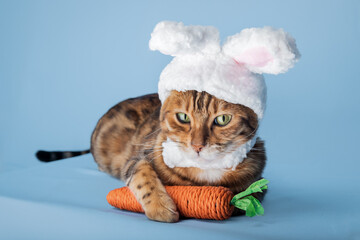 Cute Bengal cat in a bunny costume.