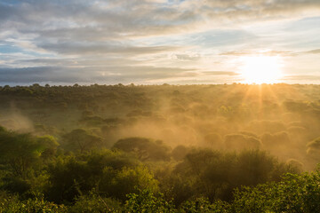 Sunrise at the Tarangire National Park, Tanzania