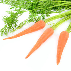 Carrot with green tops isolated on white. There is free space for text.