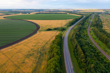 Rural Serenity: A Lonesome Highway Carves Through Fields of Rustling Rye and Wheat