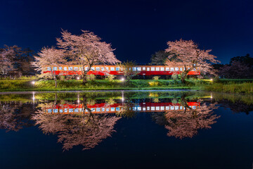 千葉の小湊鉄道と春の桜　夜桜