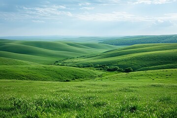 Obraz premium b'Green rolling hills under blue sky and white clouds'