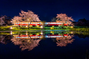 千葉の小湊鉄道と春の桜　夜桜