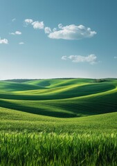 b'Green rolling hills under blue sky and white clouds'