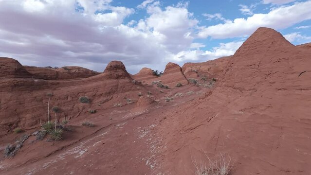 Moving over sandstone in the Escalante Utah desert during spring.