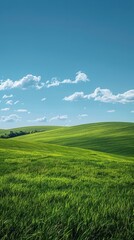 b'Green rolling hills under blue sky and white clouds'