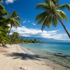 b'Coconut trees on a tropical beach with white sand and crystal clear water'